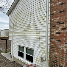 House-Soft-Wash-in-Pullman 3